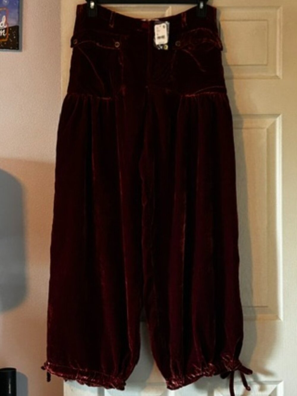 NWT Free People We The Free Velvet Balloon Pants - Size 31
